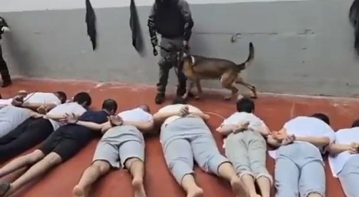 Habernasonline's tweet photo. Filistin esir araştırmaları Merkezi: 52 esir işkence sonucu şehit oldu https://t.co/TZFQ6HFjgr https://t.co/tZbJvFBipG