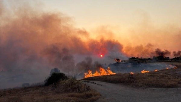 Antoni_Gelonch's tweet photo. Preocupat pl foc q s’ha revifat a Guimerà. I tot el meu suport a la gent d Tàrrega, Verdú,Montornès i altres pobles d l’Urgell.
I tota la força a @bomberscat, @agentsruralscat, @mossos, @emergenciescat i pagesos. Esperem q el malson s’acabi aviat i no hi hagi desgràcies personals https://t.co/YSb5ATe4DO