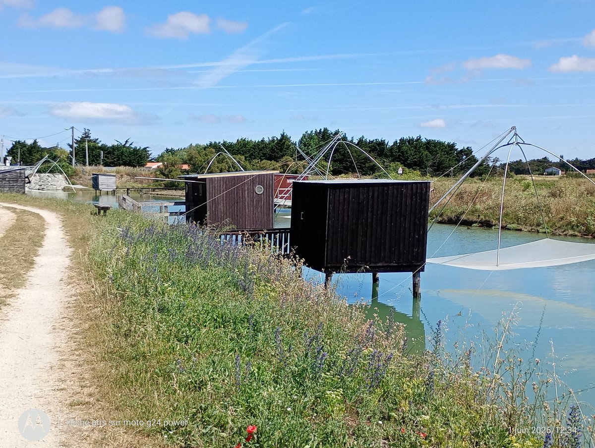 ThiChaplain's tweet photo. photos de #carrelet dans le Marais Breton-Vendéen lors de mes #vacances #estivales 2026. https://t.co/J2Ju9Dsec2