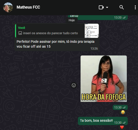 gabwebber's tweet photo. larguei essa pro meu chefe memo https://t.co/dcn8JCZ3BY
