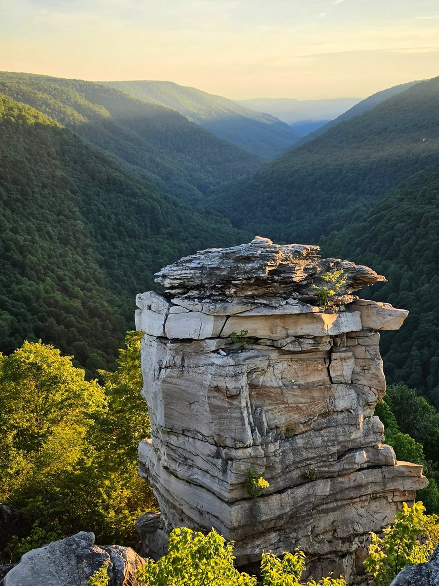 WVBlueRidge's tweet photo. Take Me Home, Country Roads 🎶
#AlmostHeaven #WestVirginia🌿
📍 Blackwater Falls State Park
📸 https://t.co/4e8yYFxwwe https://t.co/AtaNPlvtI2