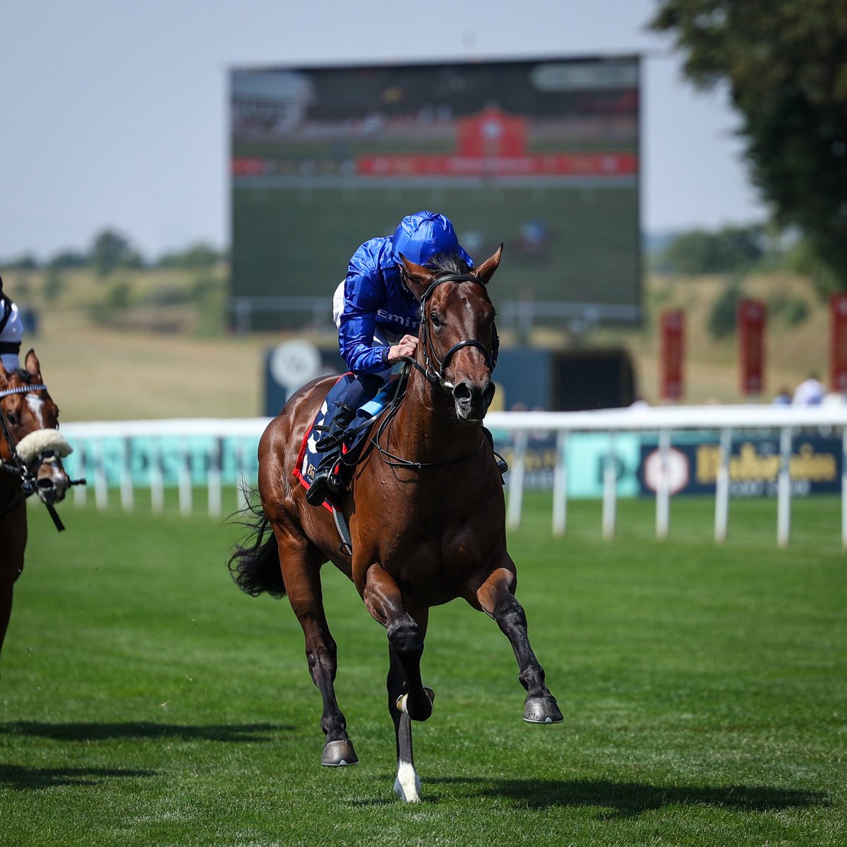 Bahrain Turf Club tweet media
