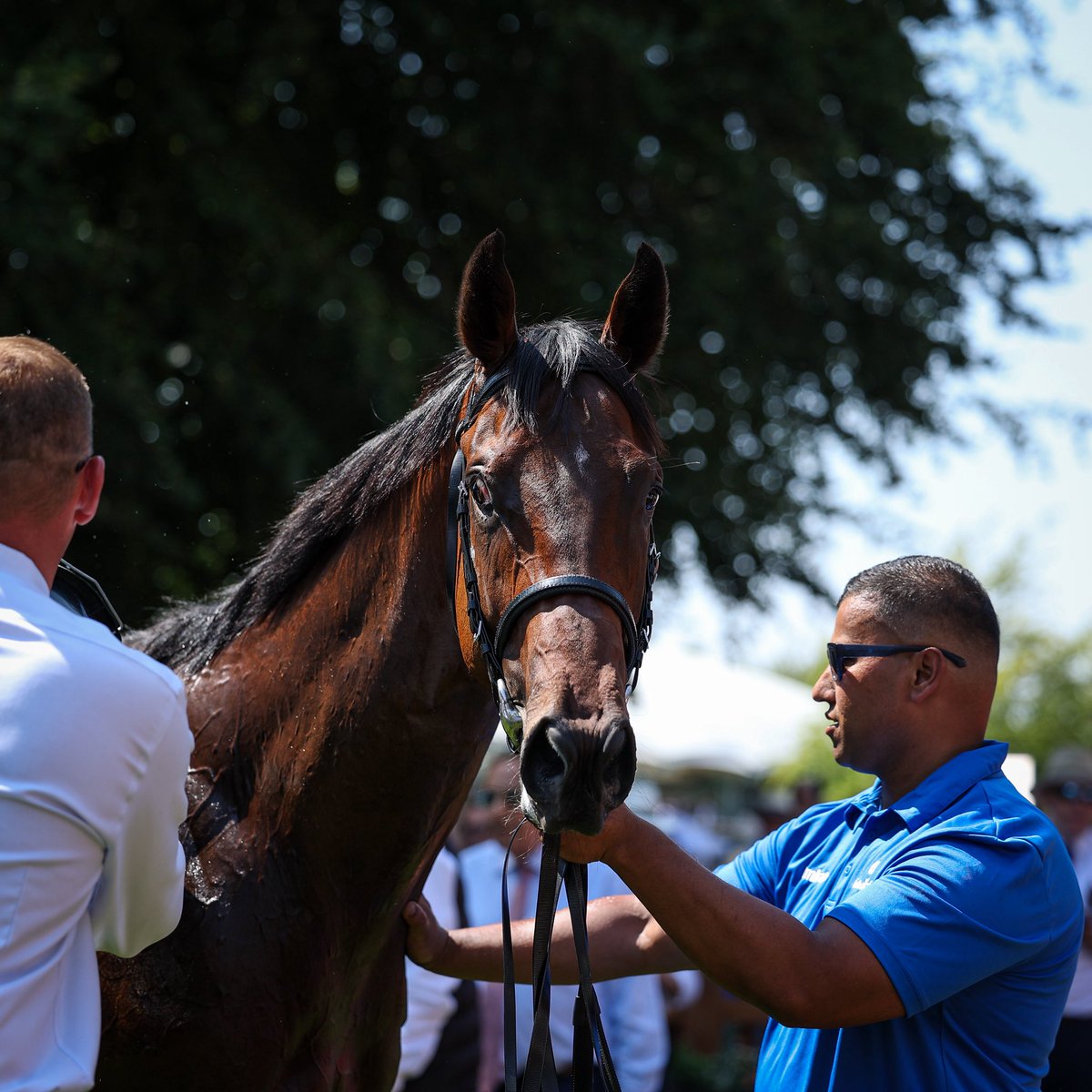 Bahrain Turf Club tweet media