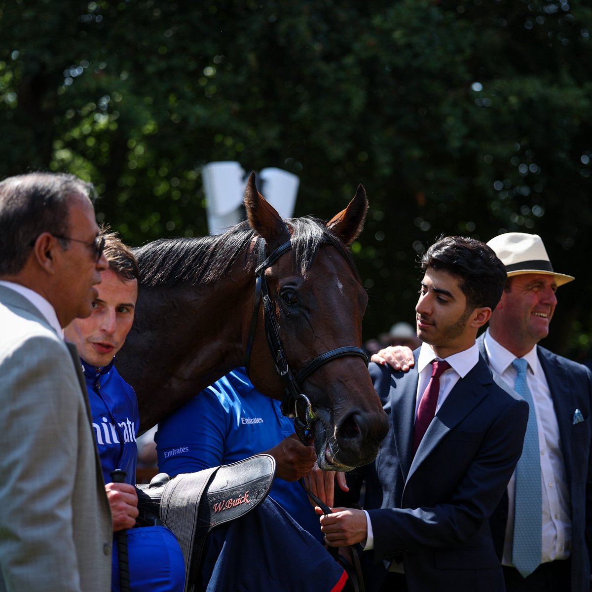 Bahrain Turf Club tweet media