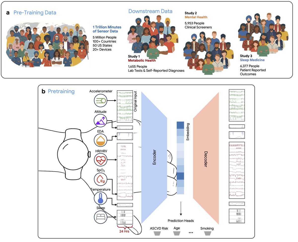 GoogleResearch's tweet photo. Introducing SensorFM, a large-scale Sensor Foundation Model that learns from 1 trillion-minutes of unlabeled wearable data drawn from five million consented participants.

SensorFM learns a single, reusable representation of sensed human physiology that transfers across cardiovascular, metabolic, sleep, and mental health, as well as lifestyle and demographic factors.

More →https://t.co/lbi1DG0zAW