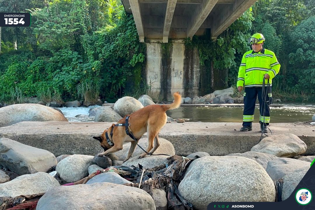ASONBOMDGT's tweet photo. 📌 #EmergenciasCBMD | Continúan las labores de búsqueda de menor desaparecida en San Marcos. 👩🏻‍🚒👨🏻‍🚒
Este día continúan las operaciones para localizar a la menor Yaritza Jadasha Chilel Esteban, de 3 años de edad, originaria de la aldea Quetzzalí, quien desapareció el pasado sábado 04 de julio.

En las operaciones de búsqueda y localización participan 06 binomios de la Unidad Canina de Rescate (UCR) y elementos de la Patrulla Especial de Rescate de la Asociación Nacional de Bomberos Municipales Departamentales (ASONBOMD) de la región de San Marcos y Suroccidente, quienes realizan recorridos en diferentes áreas del río Cabuz en el municipio de San José El Rodeo, San Marcos.

Ante cualquier tipo de emergencia puede comunicarse al 1554 a nivel nacional.

#ASONBOMD #Emergencias1554