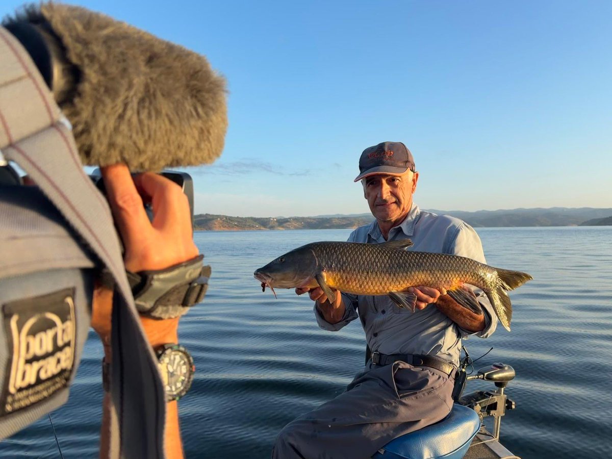 LancesCanalSur's tweet photo. Seguimos preparando la próxima temporada, En esta época los peces de los embalses se encuentran bastante activos, pero no a todas las horas del día, por lo que hay que insistir. Hoy han salido barbos, lucios y un espectacular black-bass. https://t.co/C7YCOpIGEN