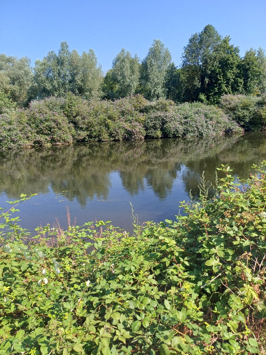 spennyjcoach's tweet photo. 🌿 Walking with nature is powerful therapy.
The sound of the water, the rhythm of the waves — it quietly eases stress, anxiety and old trauma
Movement + nature = deep nervous system reset
DM “READY” for my free 7-Day Reset Guide 👇
#NatureTherapy #MentalHealth #MindBodyCoach https://t.co/0eP91xkfMy