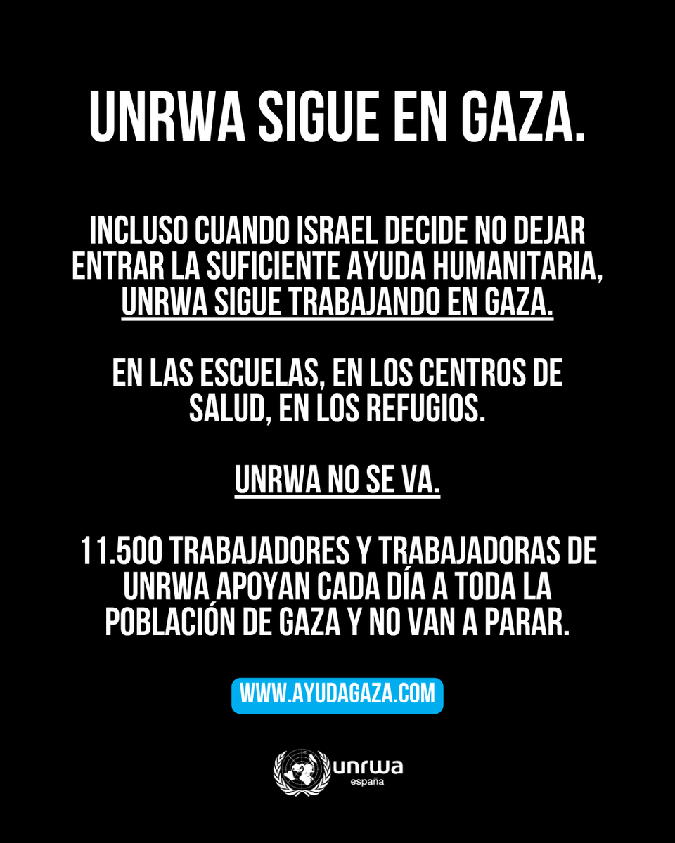 UNRWAes's tweet photo. UNRWA sigue en #Gaza.
Incluso cuando Israel no deja entrar ayuda humanitaria suficiente, seguimos trabajando: en escuelas, en centros de salud, en refugios.
UNRWA no se va.
11.000 trabajadores y trabajadoras de UNRWA sostienen a toda la población de Gaza. Y no vamos a parar. https://t.co/0B1drEBBcT
