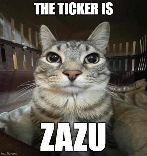 Zazu tweet media