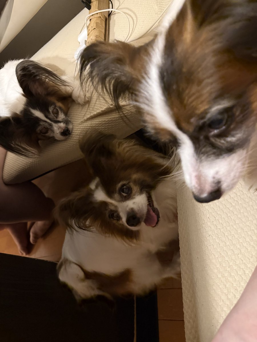 masuming's tweet photo. 何言うてんの？あほちゃう？？ https://t.co/uQ0t8rbgax