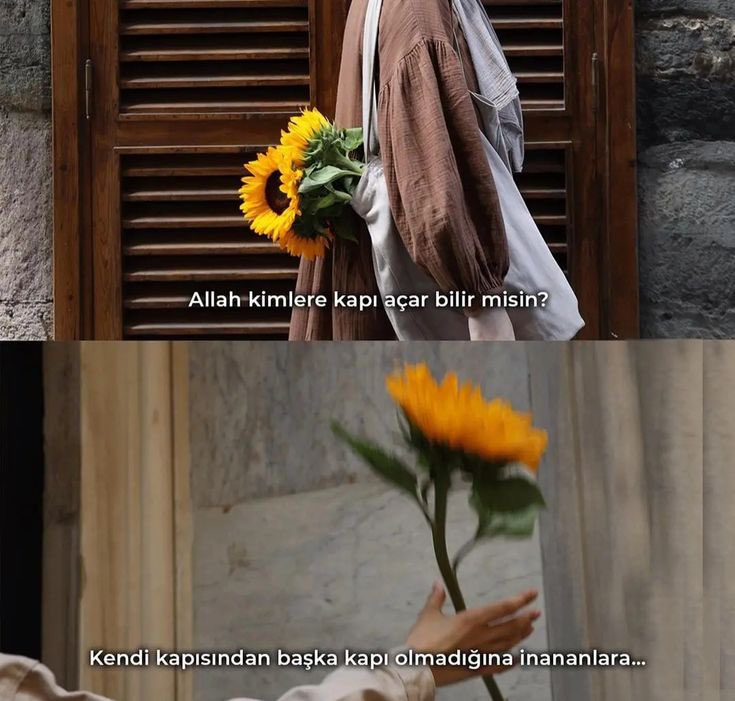 ecem4706's tweet photo. Hayırlı Geceler 🌻 https://t.co/HihVG5QIH5