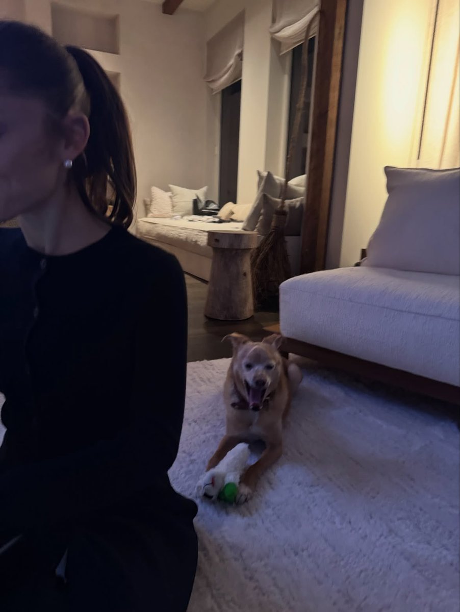 ArianaToday's tweet photo. toulouse 🤍 https://t.co/OnFPHXCG7S