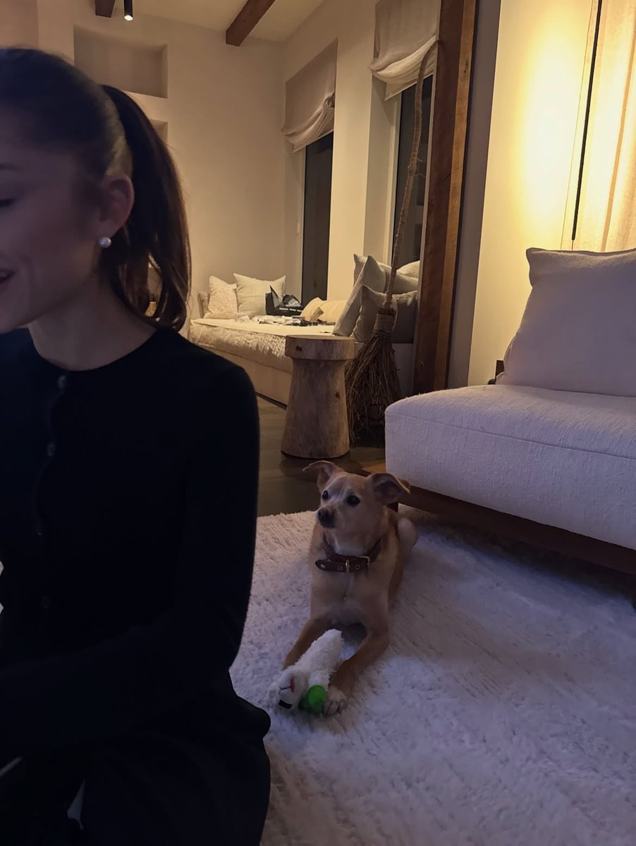 ArianaToday's tweet photo. toulouse 🤍 https://t.co/OnFPHXCG7S