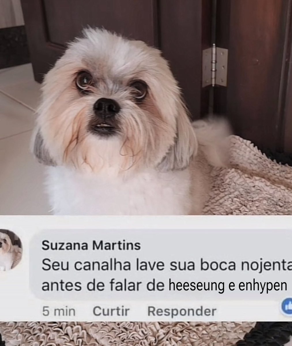 ikeuruby's tweet photo. respeitem eles seus merdas https://t.co/BWjQx1tvhc