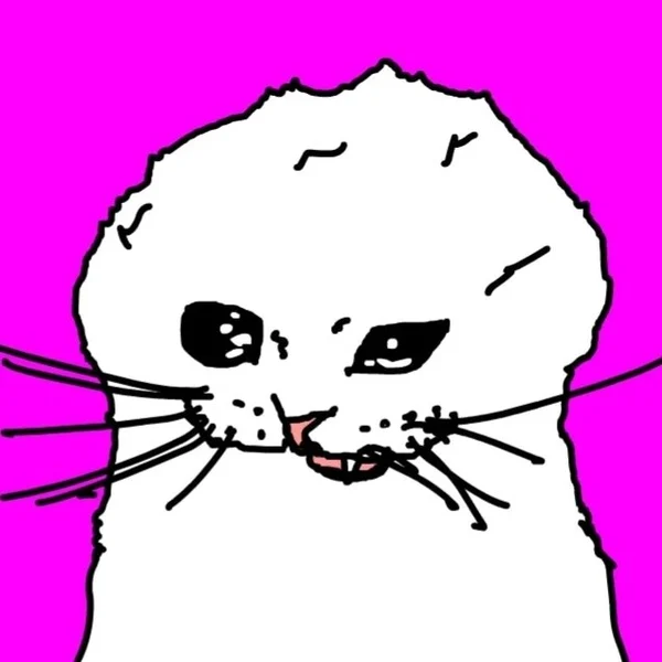Piftyen tweet picture