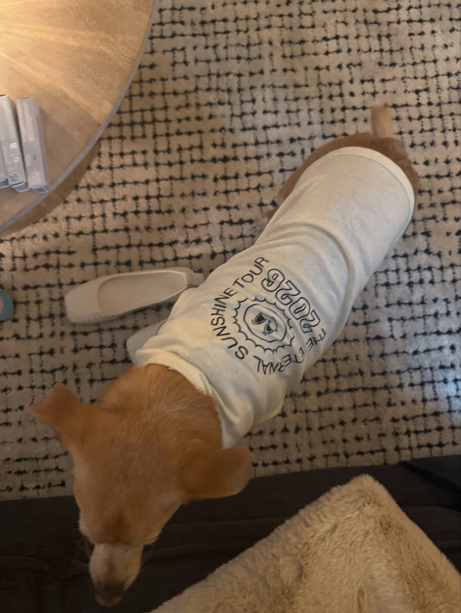 ArianaToday's tweet photo. petition for this shirt to be sold at the eternal sunshine tour pop ups ‼️ https://t.co/WZSthAqBJR