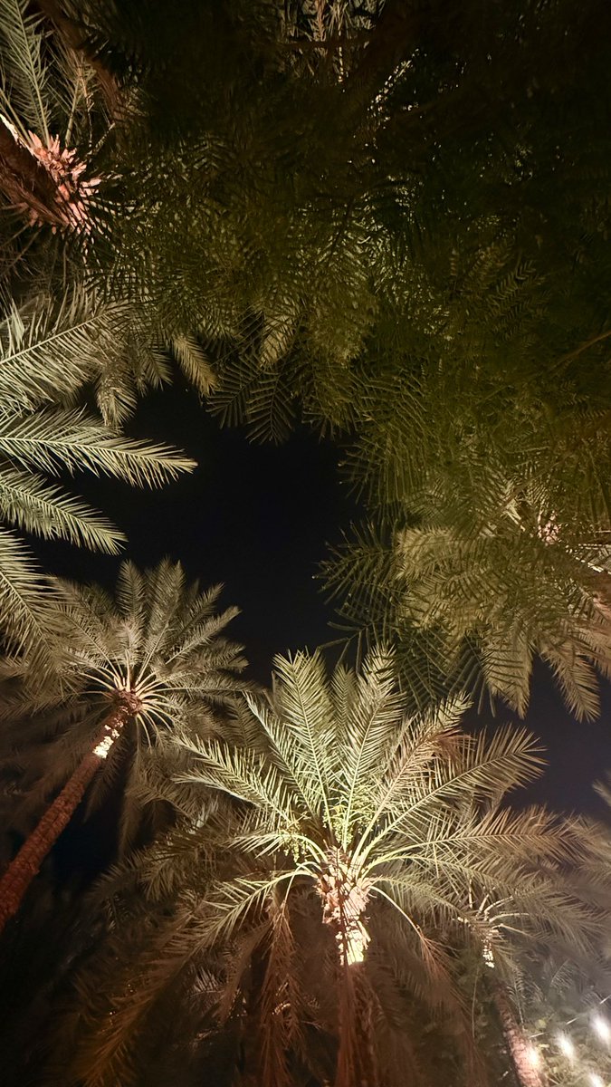 norsil_1's tweet photo. لعلّ في هذا المساء سكوناً يملأ قلبك أملاً، ويقينًا بأنّ ما عند الله أجمل وأبقى. #مساء_الخـير https://t.co/dGSxxmcPNT