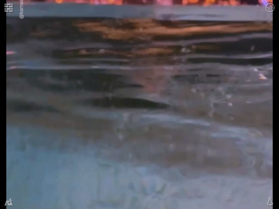 Teach4Change101's tweet photo. Brewing chamomile tea, I reflect on how swimming has molded my character—instilling discipline, perseverance, and resilience. It has taught me to endure pain, pursue goals, and value small achievements. To me, swimming is not just a hobby; it is a way of life. https://t.co/h6Sjc3vugb