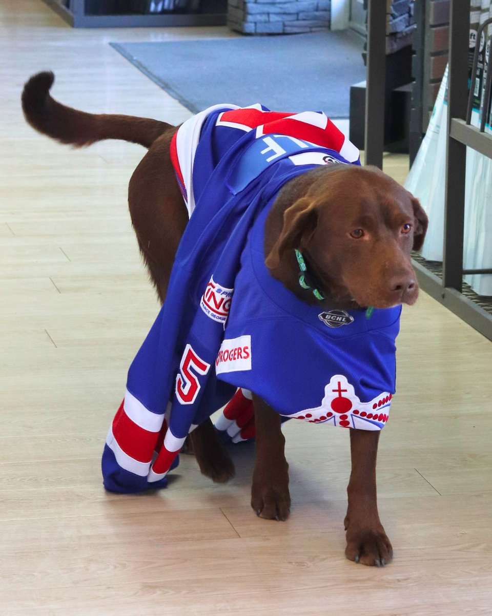 Prince George Spruce Kings tweet media