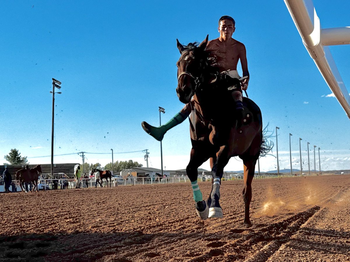 WyoDownsRacing's tweet photo. 🐴🏆 Indian Relay is back at Wyoming Downs this weekend, July 11 & 12!
The winning team earns a paid berth to the Championship of Champions in Cheyenne, Sept. 25–27.
🏇 Catch the relay action after live racing both days.
🎟️ Ticket Link in bio.
#WyoDowns #IndianRelay https://t.co/Ot8dY3l0uE
