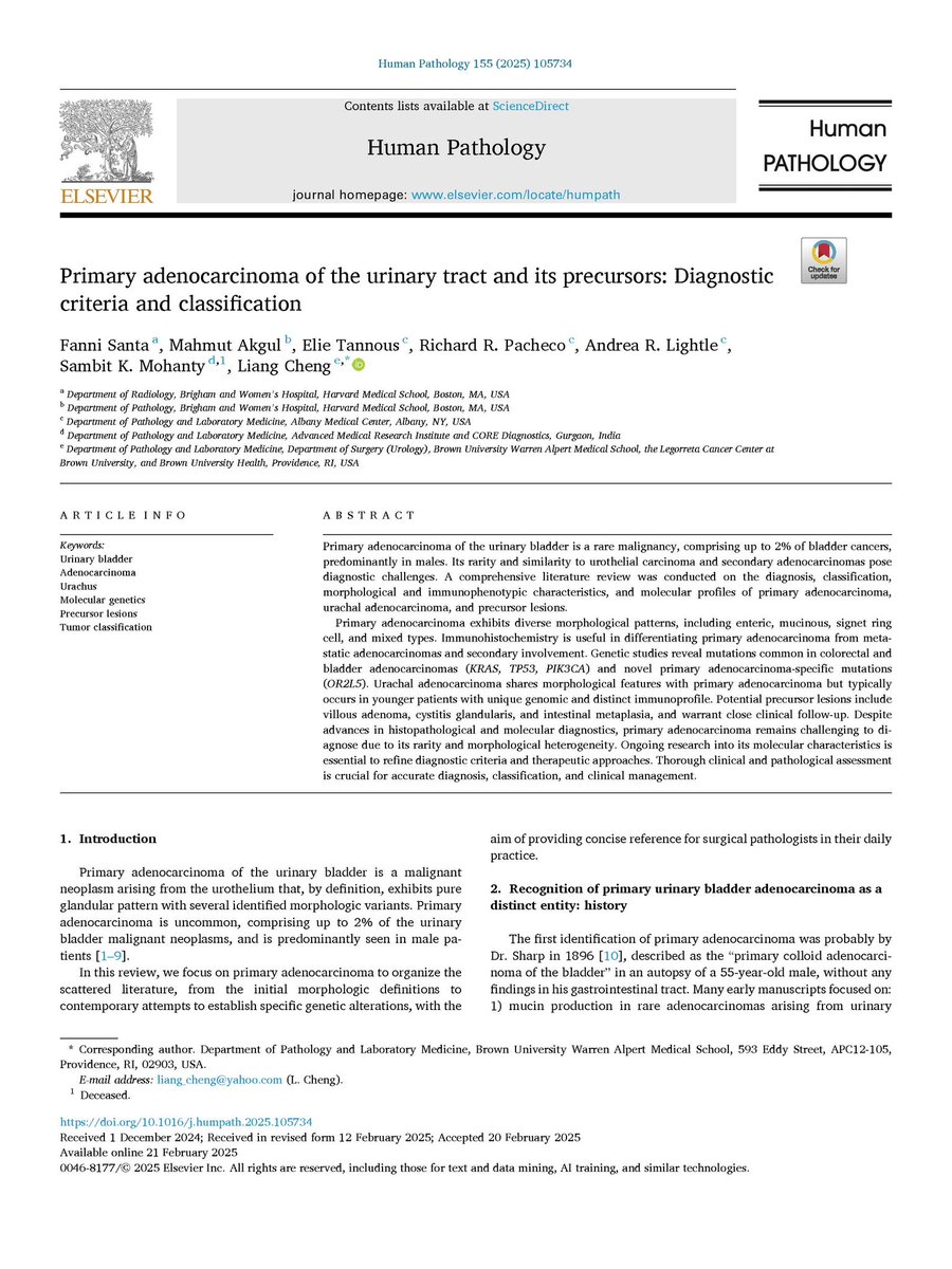 LiangChengMD's tweet photo. Comprehensive review on diagnostic criteria and classification of malignant glandular lesions of the urinary bladder by Dr. Fanni Santa @FV_Santa and her colleagues, published as the featured cover article @Human_Pathology.
 
This review provides a practical framework for one of the most diagnostically challenging areas in genitourinary pathology, integrating contemporary morphologic, immunohistochemical, and molecular advances into a unified diagnostic approach.
 
Dr. Fanni Santa and her colleagues address the classification and differential diagnosis of primary bladder adenocarcinoma, urachal adenocarcinoma, Müllerian-derived tumors, and precursor lesions, emphasizing key diagnostic pitfalls in distinguishing these uncommon neoplasms from more common primary bladder tumors and secondary involvement by tumors from other organs. The review also highlights emerging molecular insights, including recurrent genomic alterations with potential therapeutic implications, and discusses evolving concepts surrounding precursor lesions such as villous adenoma, cystitis glandularis with intestinal metaplasia, and adenocarcinoma in situ.
 
This comprehensive review is an essential resource for pathologists, urologists, oncologists, and trainees, and hope it will contribute to improved diagnostic accuracy, multidisciplinary communication, and optimal patient management for these rare but clinically significant tumors.

Read the full article here:
https://t.co/hHpwZz0VKM