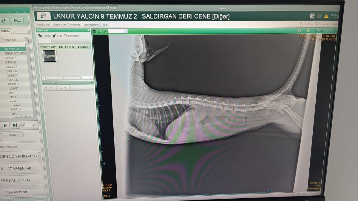 kedilernilknuru's tweet photo. Dün yakalamak için saatlerce uğraştım,  halini görünce sinirden ağladım.  Solunumu çok bozuk, almasam gün be gün kötüleşirdi.
Tedavisi için 20.000 lira eksiğimiz kaldı https://t.co/aZdA1WHiLY