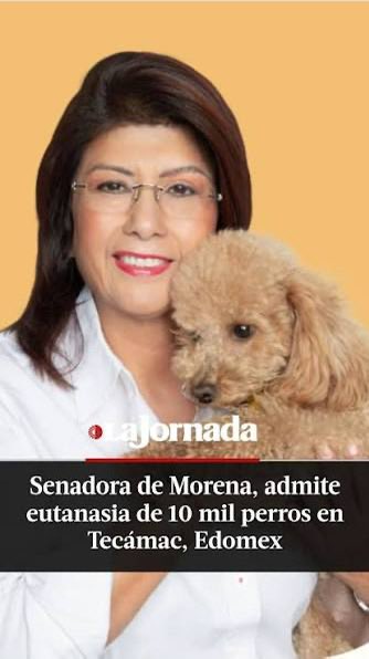 Mari953215's tweet photo. @Tamara_Vargas @tiopedritosola Totalmente de acuerdo! Deberían sancionarlos severamente, ficharlos y que no consigan descanso! https://t.co/9GUvDHswVw