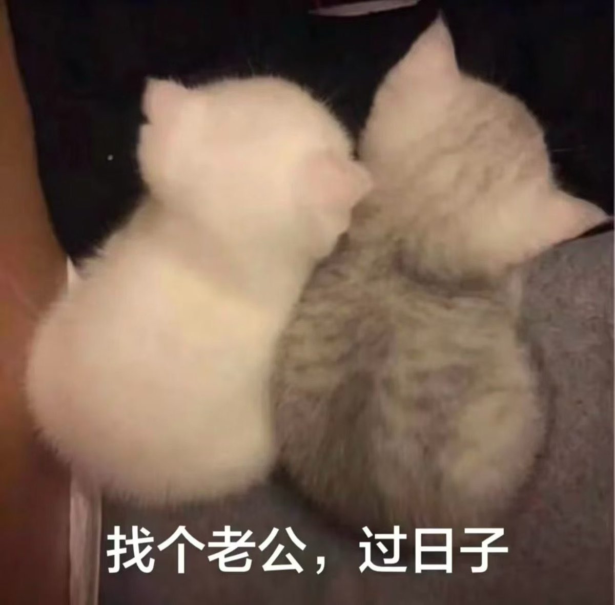 missfacm's tweet photo. https://t.co/B6p3PNtBr0