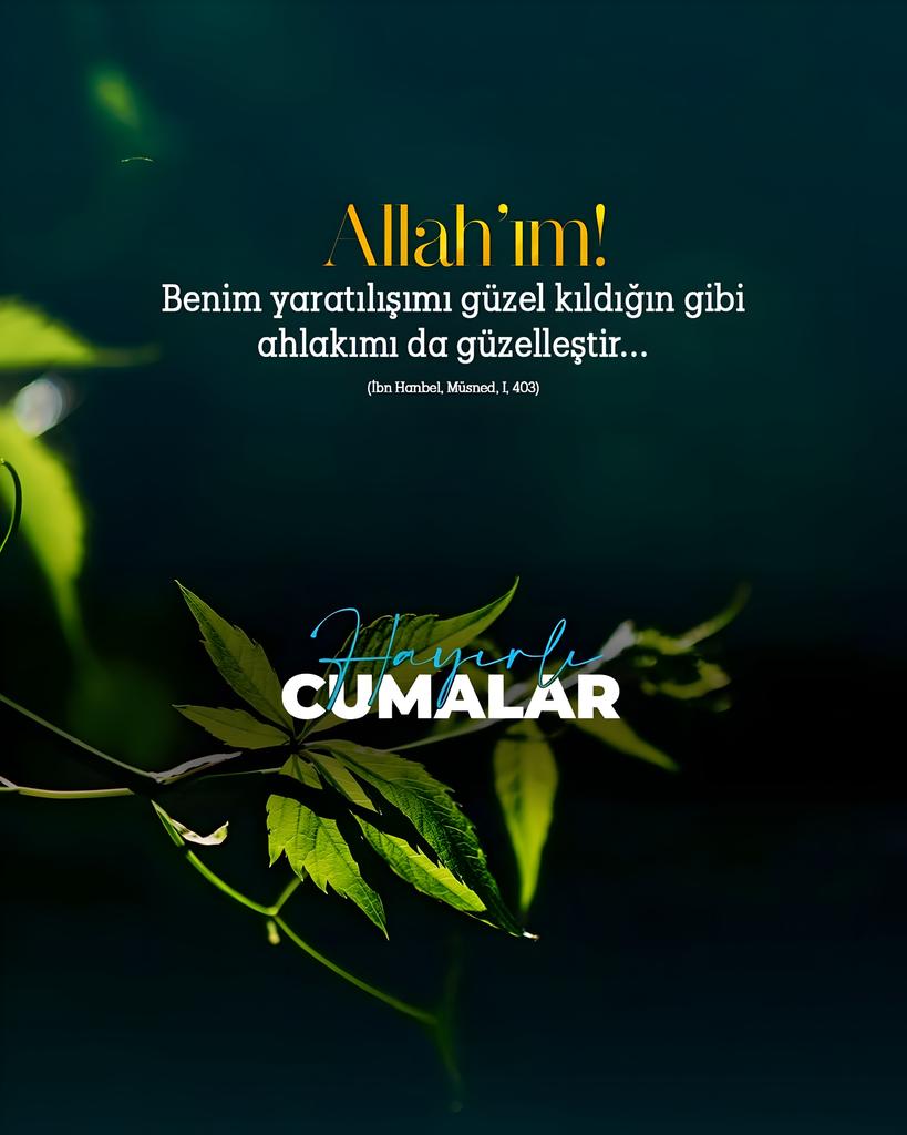 cramazancioglu's tweet photo. https://t.co/Qpk74APxlb