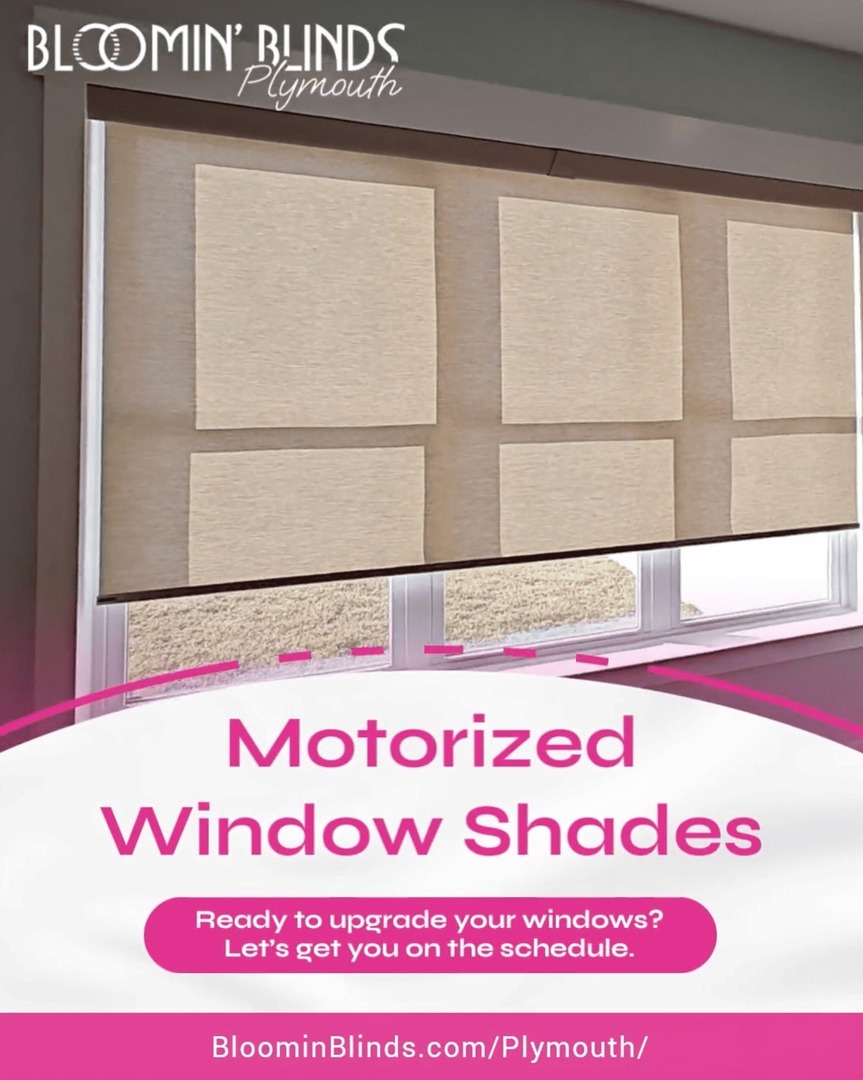 BloominBlindsPl's tweet photo. Motorized shades bring convenience, better light control, and a clean finished look to your home.

No cords. No hassle. Just smooth control when you need it.

#BloominBlinds #BloominBlindsPlymouth #MotorizedShades #CustomShades #Shades #SmartShades #Farm… https://t.co/l1i3fCjQqg https://t.co/MhOEn8YJp4
