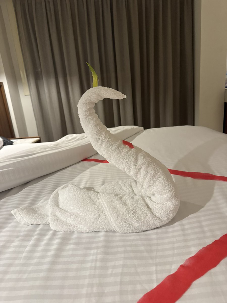karutastone's tweet photo. 第二回カイロカルタ大会無事終了。優勝はドイツのメリッサさん。

ホテルに戻ったら、朝チップの横に置いておいた折り鶴が、大きい鳥に進化していました．もったいなくて使えない…#かるた https://t.co/sG1hdv4nRw