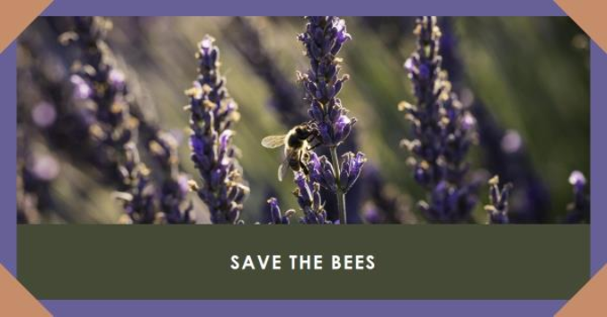 Raymond_Norman's tweet photo. ๐ Save The Bees & Our Food Sources ๐
๐ Bees pollinate our crops
๐ Population๐ป80%
โ ๏ธ Ban Bee-killing pesticides
๐ Sign & Share the Petition ๐
https://t.co/4rSrakxH2d
#SaveTheBees๐ป@BeeAsMarine
#Pollinators #Pollination #SaveOurFood #Climate #BanPesticides https://t.co/GNKSwEZ1oF