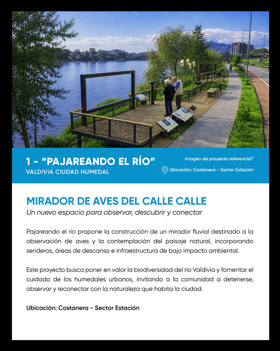munivaldivia's tweet photo. 🗳️ ¡En #ValdiviaElige2026 tu voto hace la diferencia! 💚

Elige 2 de los 4 proyectos que buscan mejorar nuestra comuna. 🌿🏃🚣🧗

📲 Vota de forma rápida, fácil y segura en https://t.co/cc7vJd5wW4

🙌 ¡Participa y ayúdanos a construir el Valdivia que queremos! #Valdiviacl https://t.co/tYqRDCTVsN