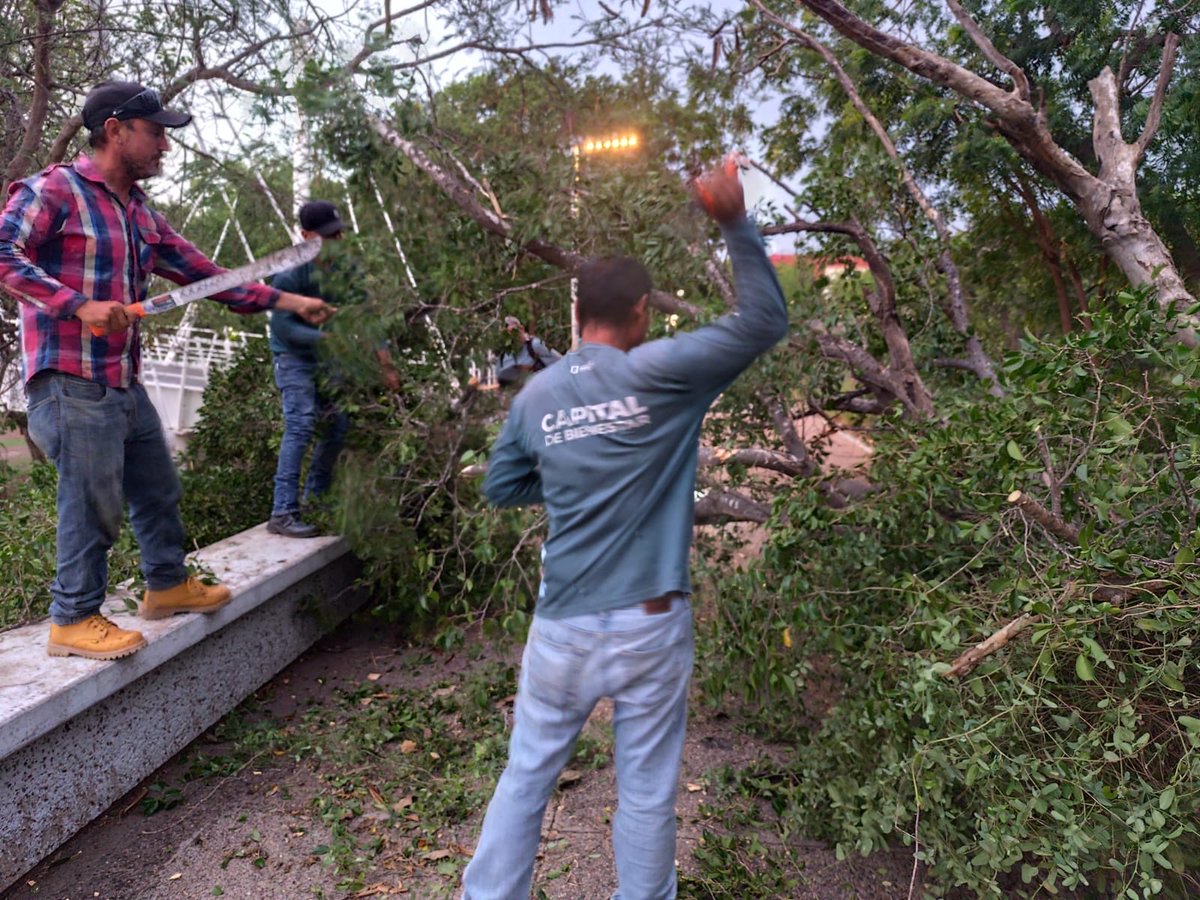 ParqueRiberas's tweet photo. Tras los fuertes vientos, realizamos labores de limpieza inmediata en Parque Las Riberas para retirar ramas caídas. 

Además, llevamos a cabo la poda preventiva de árboles con el objetivo de reducir riesgos y prevenir accidentes. https://t.co/3tjVjsT8NO