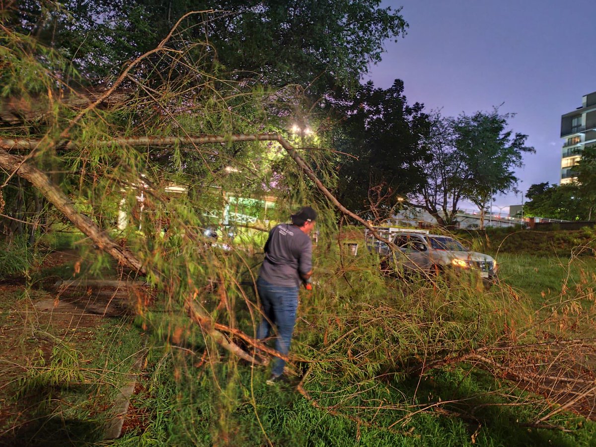 ParqueRiberas's tweet photo. Tras los fuertes vientos, realizamos labores de limpieza inmediata en Parque Las Riberas para retirar ramas caídas. 

Además, llevamos a cabo la poda preventiva de árboles con el objetivo de reducir riesgos y prevenir accidentes. https://t.co/3tjVjsT8NO