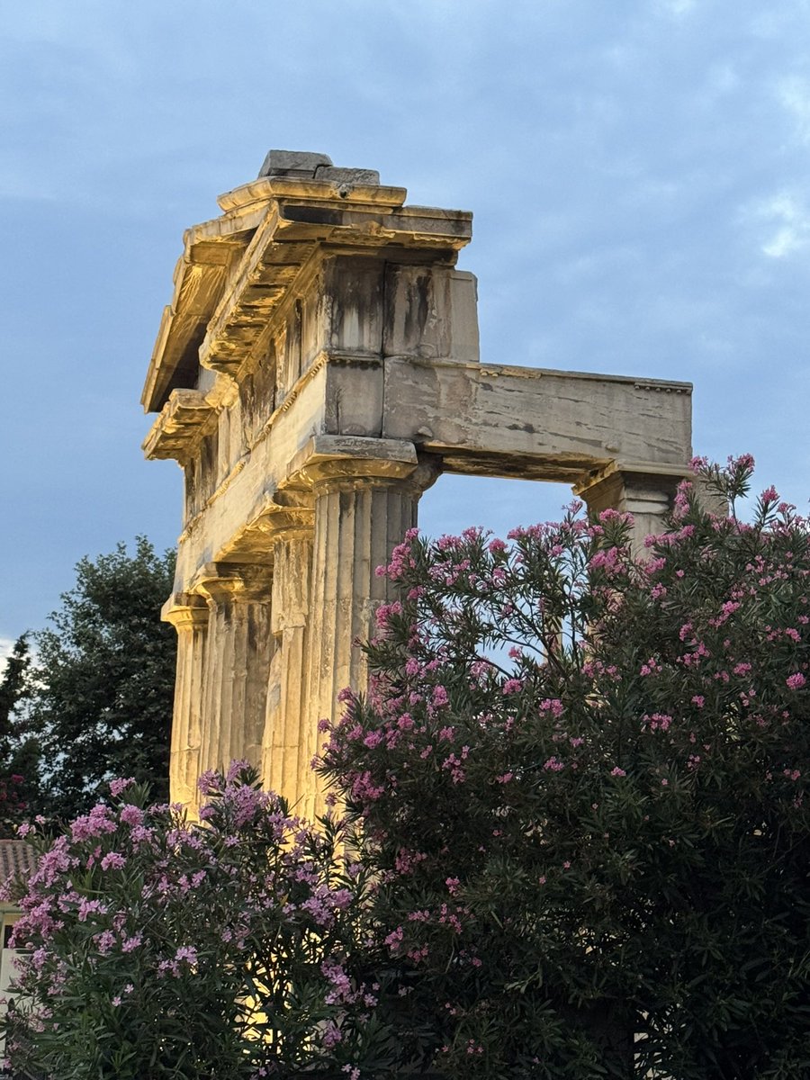 d_tsilioris's tweet photo. 🏛️🌅✨ https://t.co/VobNNZiDFr