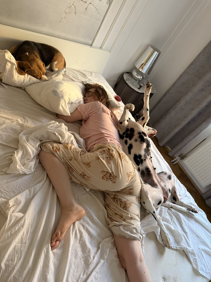 Shyblanche's tweet photo. Sexy even when I sleep 😪 https://t.co/dv7ddSwe8X