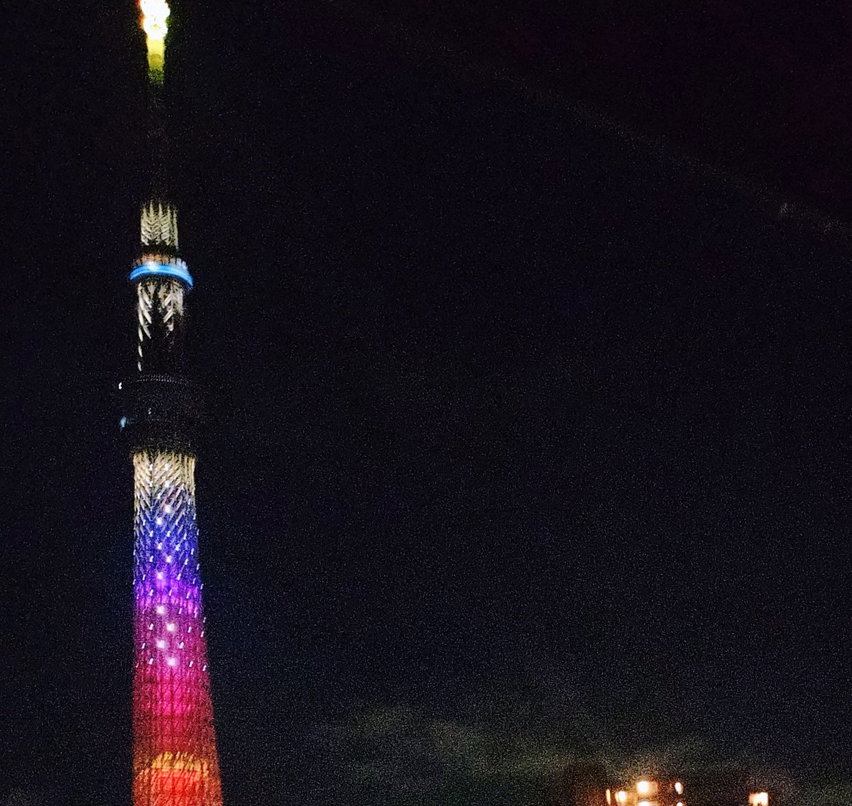 katuoooooo's tweet photo. 夜をぬけて来ました🌙おはようございます🐌 https://t.co/TcSKp8Rd1a