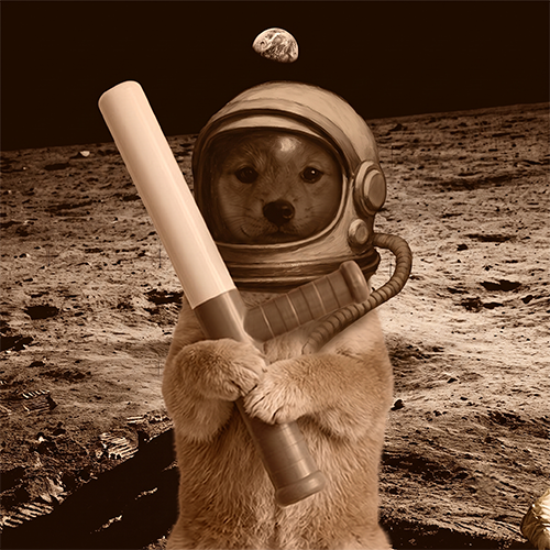 batonfun's tweet photo. deleting your account won't be necessary.

because we will all retire off of baton.

baton is more than a meme. it's the history of pumpfun, immortalized as a dog token.

join us on the moon json.

lore article:
https://t.co/T8ukWPBwt7 https://t.co/XPgGdNogTk
