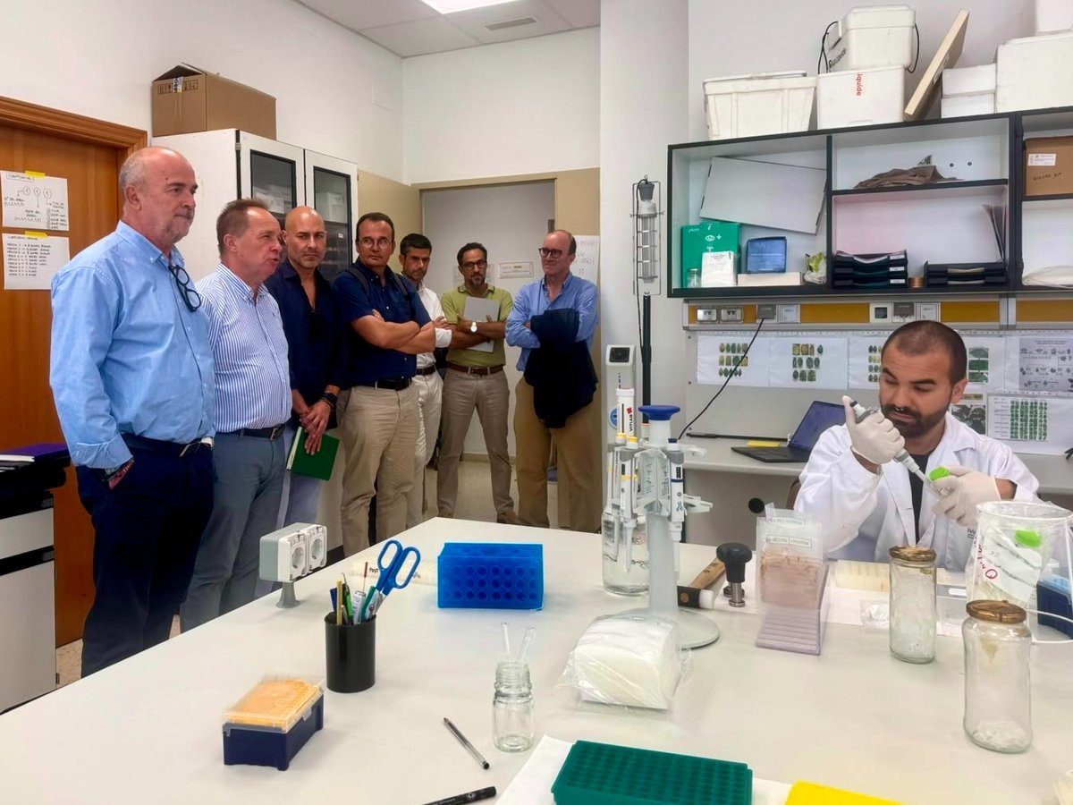 RM_Agua's tweet photo. La Región de Murcia y la Comunidad Valenciana coordinan sus investigaciones para anticiparse a la expansión de la clorosis nervial amarilla

El IMIDA ya ha iniciado ensayos en su laboratorio de bioseguridad para conocer el comportamiento del virus y avanzar en medidas de contención y protección de la citricultura

https://t.co/5Ghdj6BOVf
