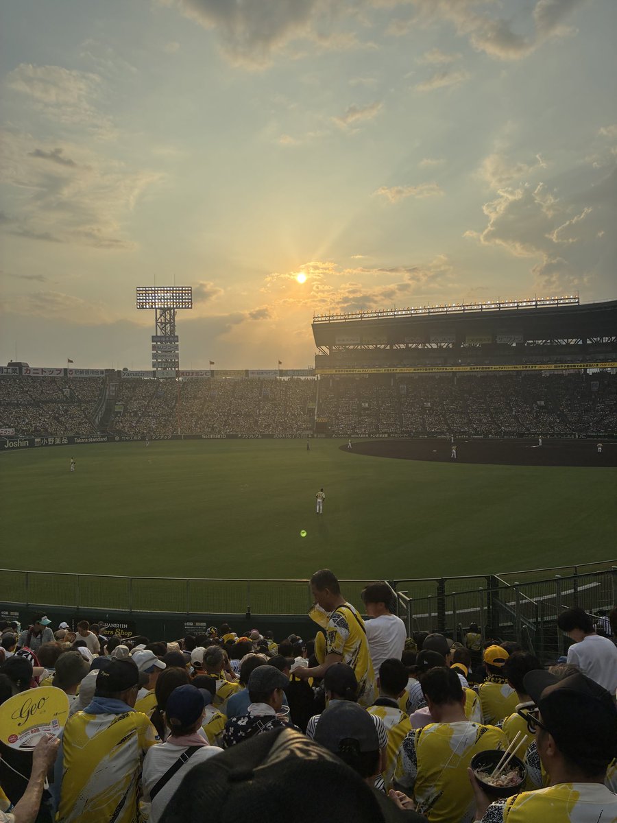 aoidangan4's tweet photo. めっちゃ暑い！甲子園着弾！ウルトラソウルな夏！！
#阪神タイガース
#ウル虎タイガース https://t.co/TQ7d3dG6CL