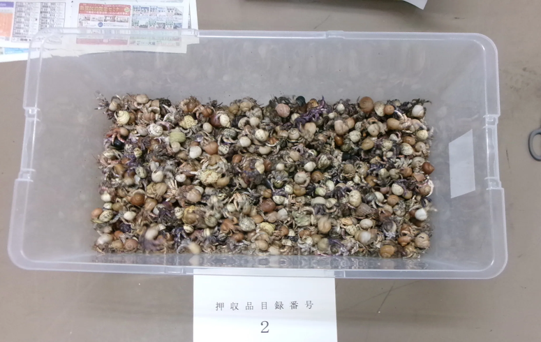 保守速 tweet media