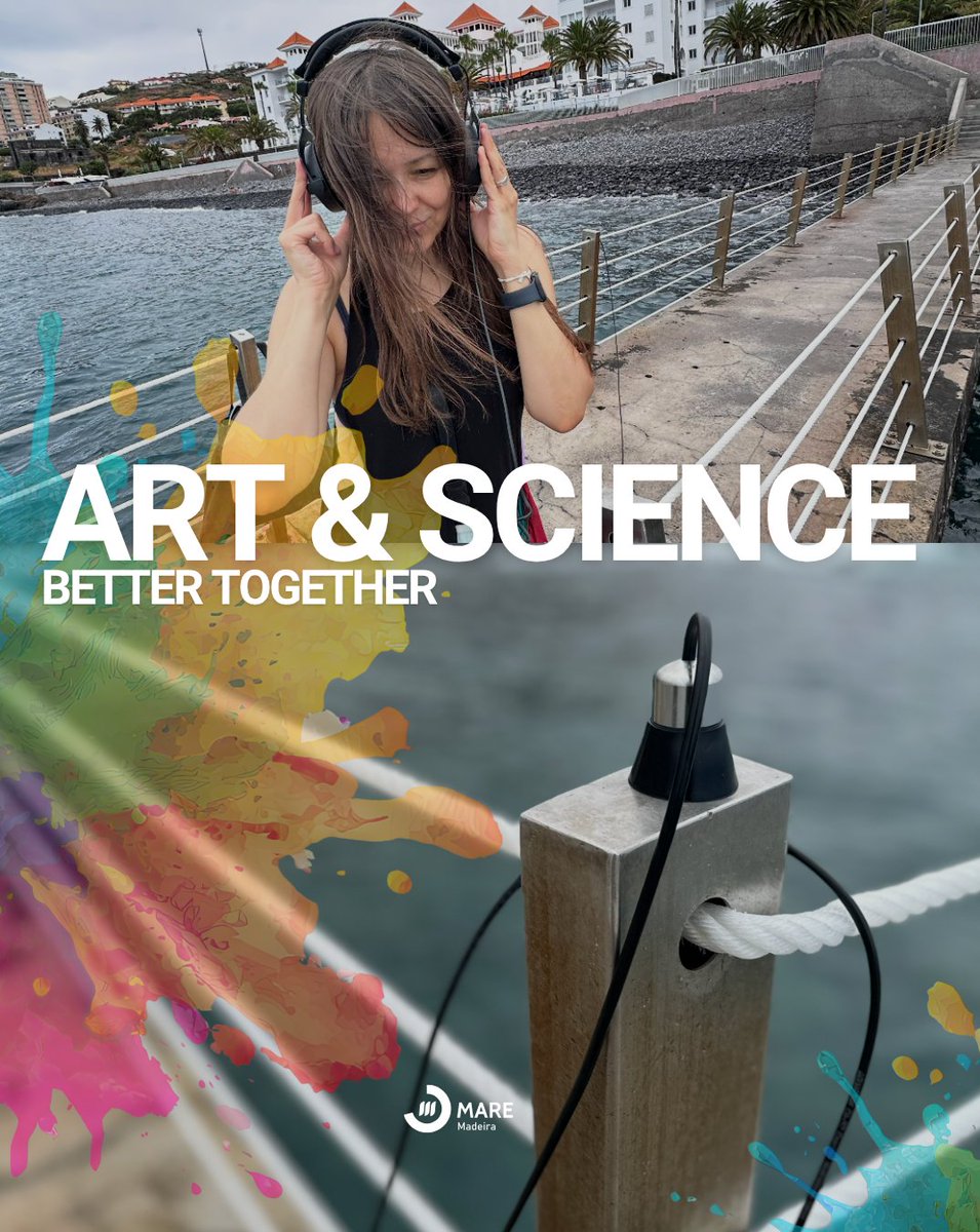 MARE_Madeira's tweet photo. Artists Lena and Eldar visited Madeira last week and worked with our Megafauna team for a new art/science collaboration. Brainstorming, data collection and sperm whale sightings during fieldwork! We have great expectations for this collaboration -- stay tuned! https://t.co/lEq1PIMLdW