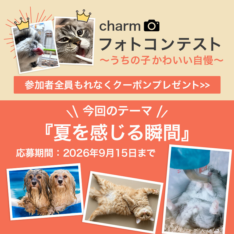 チャーム公式 (@shopcharm) / Posts / X