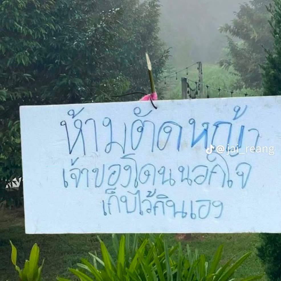 sfkkfs_'s tweet photo. อย่างชอบ 555555555555555555 https://t.co/JlaXvlr3wS