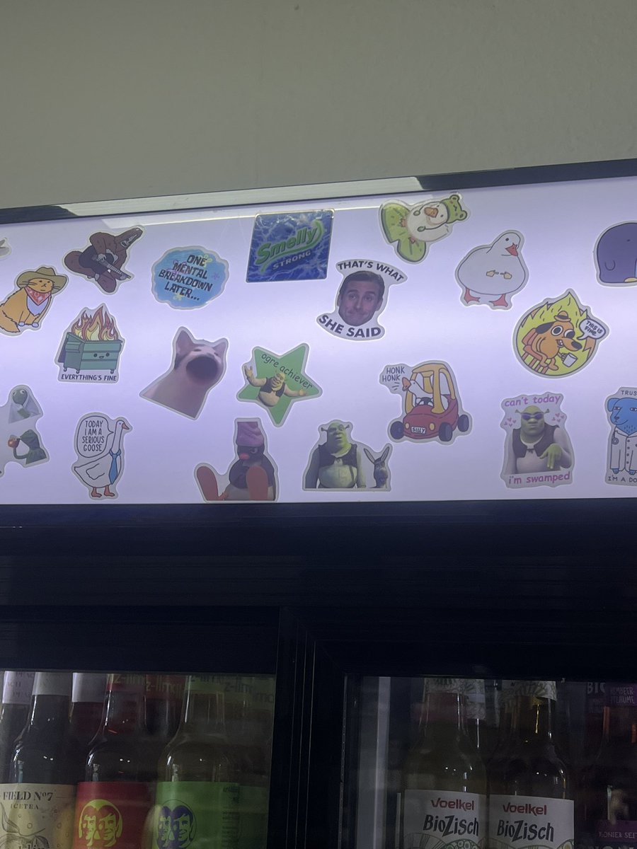 NDEPZR's tweet photo. #cats in windows SPÄTI STEGLITZ #katzeninfenstern #catsofx #berlin #catsinwindows 07/26 
[ /ᐠ ̥ ̣̮ ̥ ᐟ\ﾉ ] [ /ᐠ .ᆺ. ᐟ\ﾉ ] https://t.co/u5CagTxQsM
