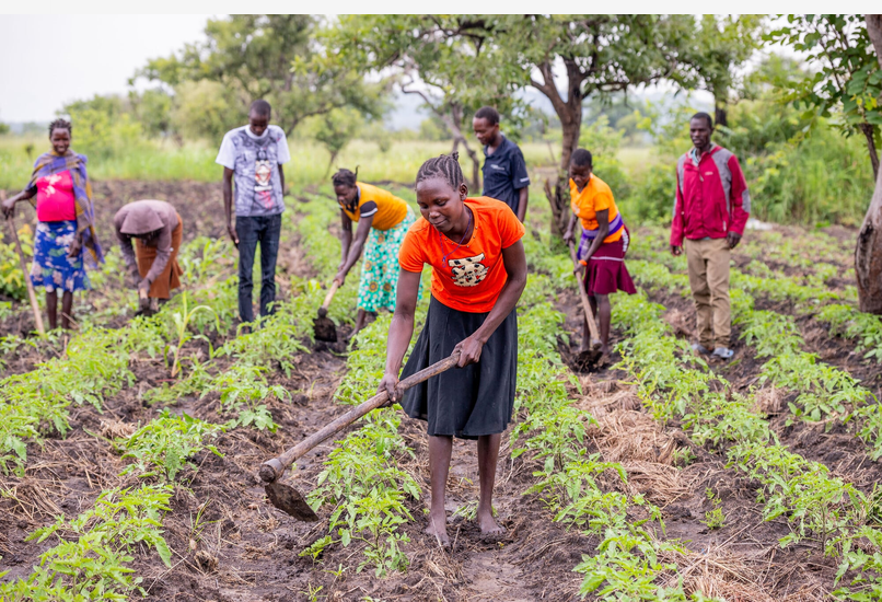 Itss_BabyAmber8's tweet photo. President Museveni has consistently urged Ugandans to turn farming into commercial agribusiness that creates jobs and wealth. Modern commercial agriculture is transforming rural livelihoods across the country.
#WhyUgDecidedM7 #UgMoving4wd https://t.co/sJMwRLrtt4