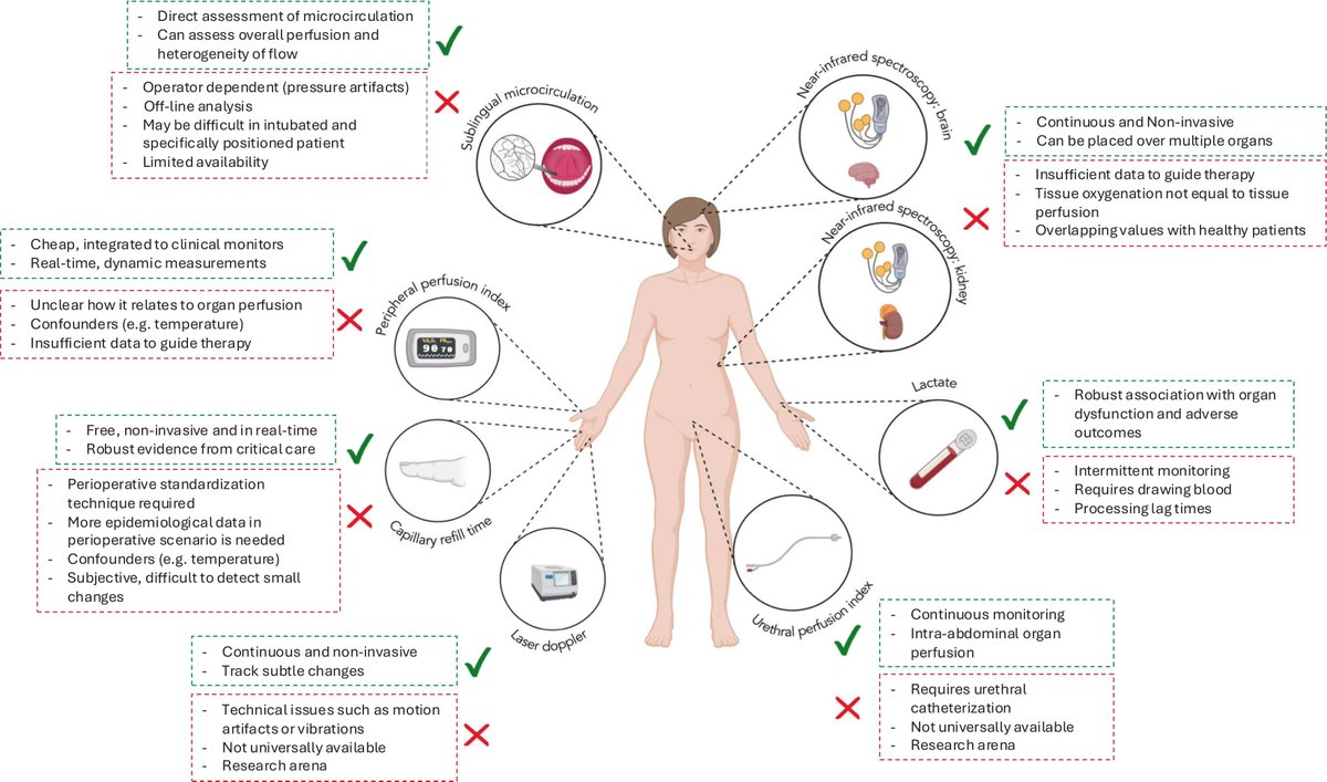 CritCareReviews's tweet photo. Today's Paper of the Day is:

Tissue perfusion as the ultimate target of hemodynamic interventions in the perioperative period

https://t.co/JKgcYjlUQ5

Join us to read 1 paper per day and stay up-to-date as we cover the spectrum of critical care across 2026 https://t.co/j4qAaQMU9W