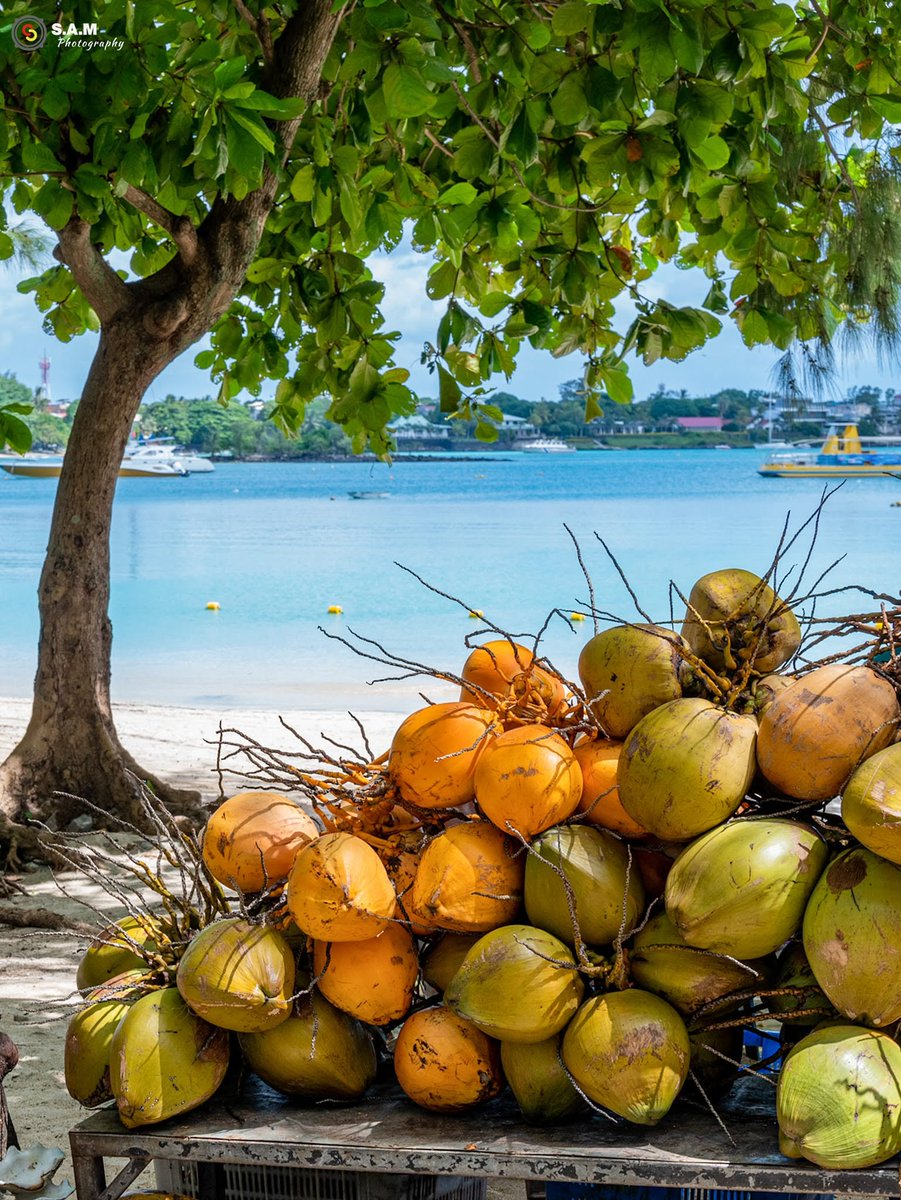Mauritius Island tweet media